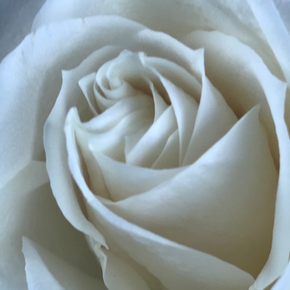 Meet your Posher, Christina - Picture 1 of 1